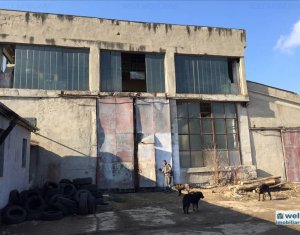 Industrial space for rent in Cluj-napoca, zone Baciu