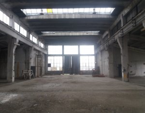 Espace Industriel à louer dans Cluj-napoca, zone Baciu