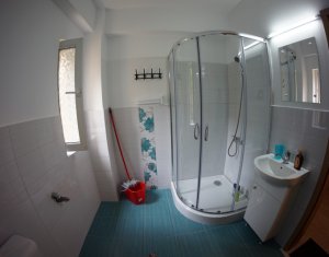 Inchiriere apartament cu 1 camera cu terasa, zona Taietura Turcului