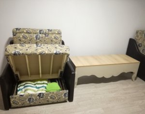 Inchiriere apartament cu 1 camera cu terasa, zona Taietura Turcului