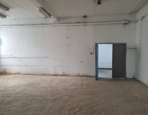 Industrial space for rent in Cluj-napoca, zone Gara
