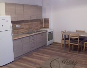 Appartement 1 chambres à louer dans Cluj-napoca, zone Gara