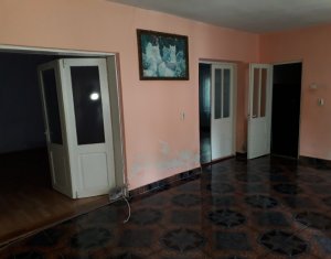 Maison 4 chambres à louer dans Cluj-napoca, zone Centru