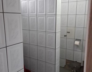 House 4 rooms for rent in Cluj-napoca, zone Centru