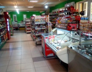 Espace Commercial à louer dans Cluj-napoca, zone Gheorgheni