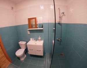 Appartement 1 chambres à louer dans Cluj-napoca, zone Gheorgheni