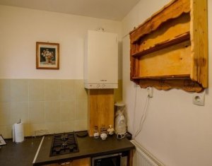 Appartement 1 chambres à louer dans Cluj-napoca, zone Centru