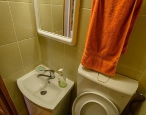 Apartment 1 rooms for rent in Cluj-napoca, zone Centru