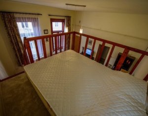 Apartment 1 rooms for rent in Cluj-napoca, zone Centru