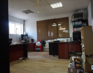 Industrial space for rent in Cluj-napoca, zone Apahida