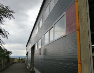 Industrial space for rent in Cluj-napoca, zone Iris