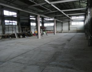 Industrial space for rent in Cluj-napoca, zone Iris