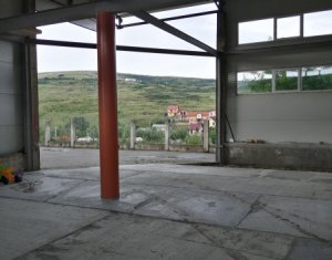 Industrial space for rent in Cluj-napoca, zone Iris