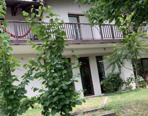 House 7 rooms for rent in Cluj-napoca, zone Grigorescu