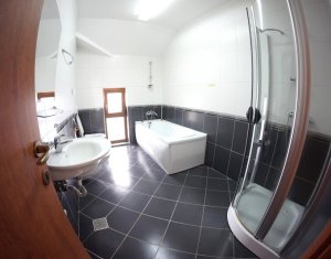 Maison 3 chambres à louer dans Cluj-napoca, zone Buna Ziua