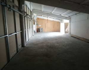 Industrial space for rent in Cluj-napoca, zone Baciu