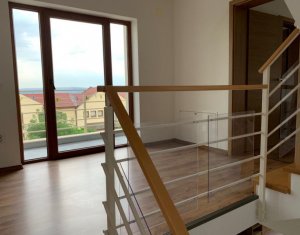 House 5 rooms for rent in Cluj-napoca