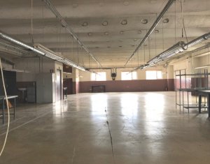 Industrial space for rent in Cluj-napoca, zone Someseni