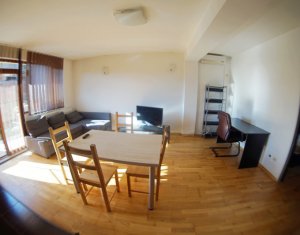 Apartament 2 camere, in vila, terasa verde, pet friendly, pe Campului