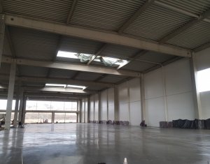 Industrial space for rent in Gilau