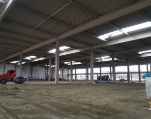 Industrial space for rent in Gilau