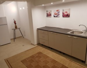 Appartement 1 chambres à louer dans Cluj-napoca, zone Grigorescu