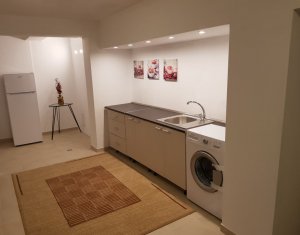Appartement 1 chambres à louer dans Cluj-napoca, zone Grigorescu