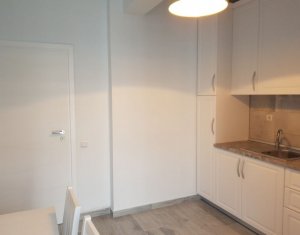 Apartment 2 rooms for rent in Cluj-napoca, zone Sopor