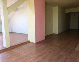 Appartement 4 chambres à louer dans Cluj-napoca, zone Centru