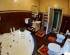 House 7 rooms for rent in Cluj-napoca