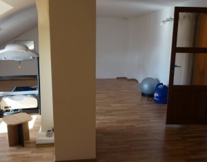 Maison 9 chambres à louer dans Cluj-napoca, zone Gruia