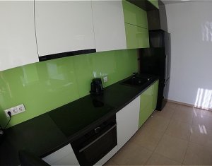 House 5 rooms for rent in Cluj-napoca, zone Intre Lacuri