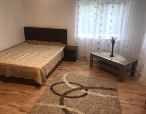 Maison 3 chambres à louer dans Cluj-napoca, zone Dambul Rotund