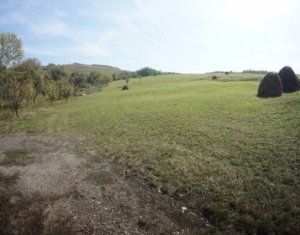 Terrain à louer dans Cluj-napoca, zone Sopor