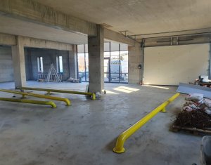 Industrial space for rent in Cluj-napoca, zone Baciu