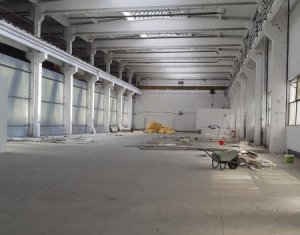 Industrial space for rent in Cluj-napoca, zone Dambul Rotund