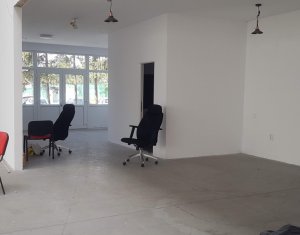 Industrial space for rent in Cluj-napoca, zone Dambul Rotund