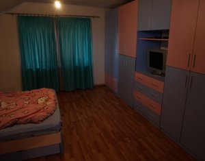 Maison 5 chambres à louer dans Cluj-napoca, zone Iris