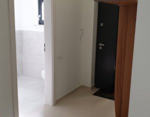 House 5 rooms for rent in Cluj-napoca, zone Andrei Muresanu