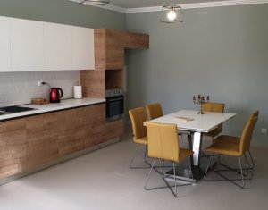 House 5 rooms for rent in Cluj-napoca, zone Andrei Muresanu