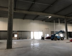 Industrial space for rent in Gilau