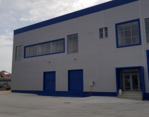 Industrial space for rent in Gilau