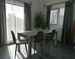 House 4 rooms for rent in Cluj-napoca, zone Borhanci