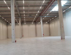 Industrial space for rent in Floresti