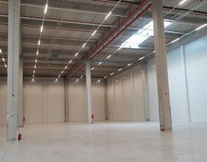 Industrial space for rent in Floresti