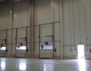 Industrial space for rent in Floresti