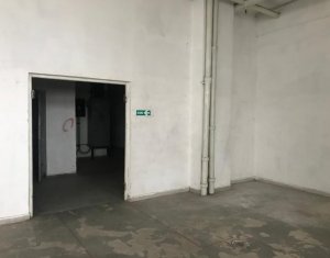 Espace Commercial à louer dans Cluj-napoca, zone Centru