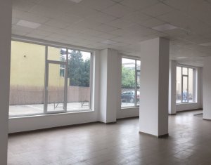 Espace Commercial à louer dans Cluj-napoca, zone Gara