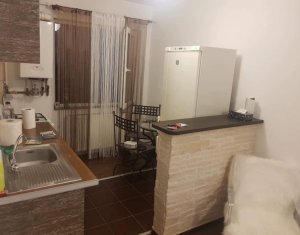 Apartment 2 rooms for rent in Cluj-napoca, zone Buna Ziua