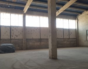 Industrial space for rent in Cluj-napoca, zone Baciu